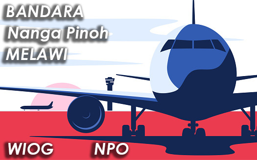 Bandar udara Nanga Pinoh