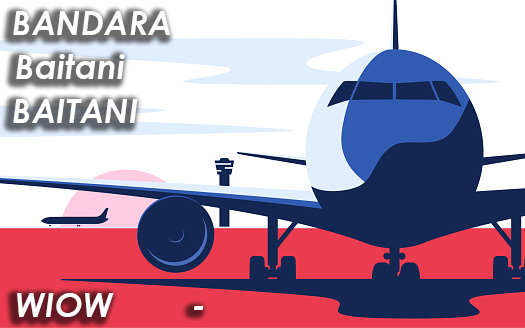 Bandar udara Baitani